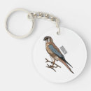 Search for bird of prey key rings Falcon