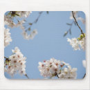 Search for japanese cherry blossom mousepads Nature