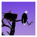 Search for bald art Sunset