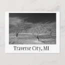 Search for traverse city postcards Old