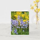 Search for spring photos cards Pretty