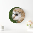 Search for barn owl clocks Owls