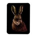 Search for hares magnets Forest