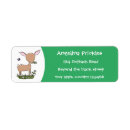 Search for fawns return address labels Animal