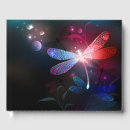 Search for night flight Butterfly