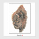 Search for white bison stickers Wildlife