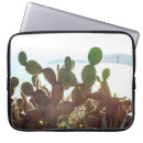 Search for arid electronics Cactus