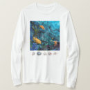 Search for orange fish Sea life
