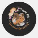 Search for sheltie dog stickers Shelties