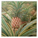 Search for pineapple tiles Design