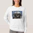 Search for space shuttle engine Outdoors