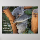 Search for koala bear posters Humour