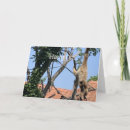 Search for funny hang in there cards Humourous