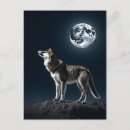 Search for wolf postcards Night