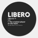 Search for volleyball players stickers Funny