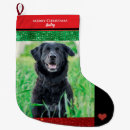 Search for dog lover christmas stockings Festive