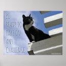 Search for self esteem posters Wisdom