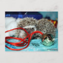 Search for quilling cards Red