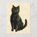 Search for halloween vintage postcards Black