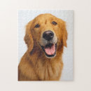 Search for golden puzzles Animal