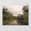 Search for remote postcards Nature