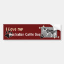 Search for australian cattle dog bumper stickers Puppy
