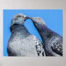 Search for couple kissing art Nature