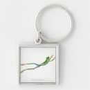 Search for jumping frog key rings Animal