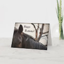 Search for horses photo cards Photography