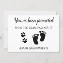 Search for promoted to grandma New grandparents