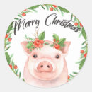 Search for pig stickers Watercolor