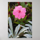 Search for flowers posters Wildflower