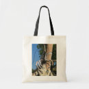 Search for lobster bags Prawn