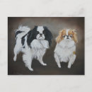 Search for pure breed Akc