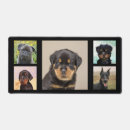 Search for pet pug electronics Pets