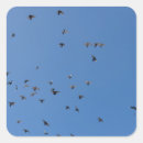 Search for flying bird stickers Blue