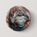 Search for orangutans badges Cute