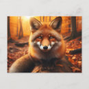 Search for autumn forest postcards Fall foliage