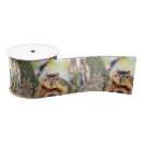 Search for squirrel ribbon Nature