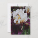 Search for iris flower note cards Flowers