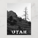 Search for zion national park postcards Photography