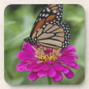 Search for x mas coasters Usa