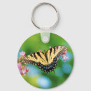 Search for beautiful butterflies key rings Pretty
