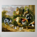 Search for vintage rooster posters Bird