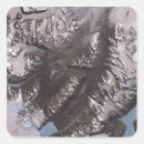 Search for drying stickers Outdoors