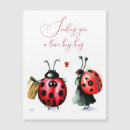 Search for ladybug magnets Anniversary