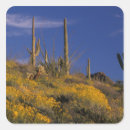 Search for pipe organ stickers Saguaro