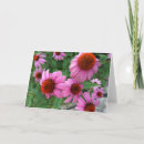 Search for bible verses birthday cards For her