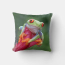 Search for frog cushions Cool