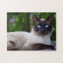 Search for crazy cat lady puzzles Feline
